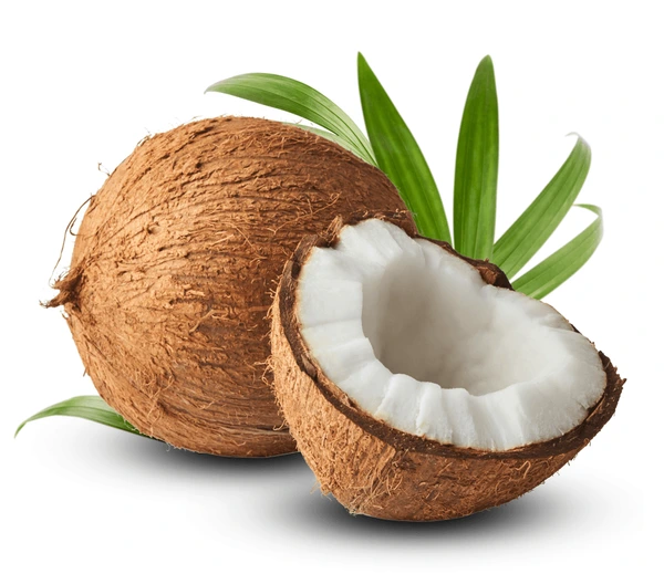 fresh-raw-coconut-palm-leaves-600nw-1368303842