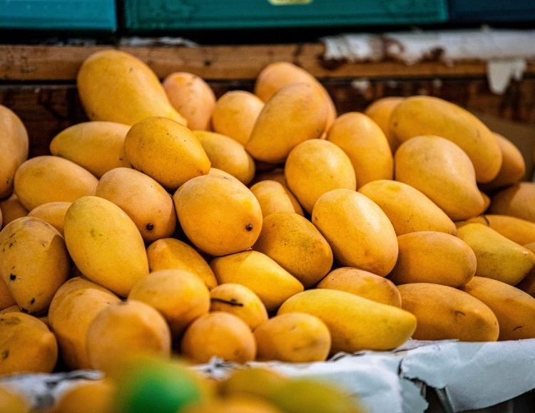 mango-8283268_1280